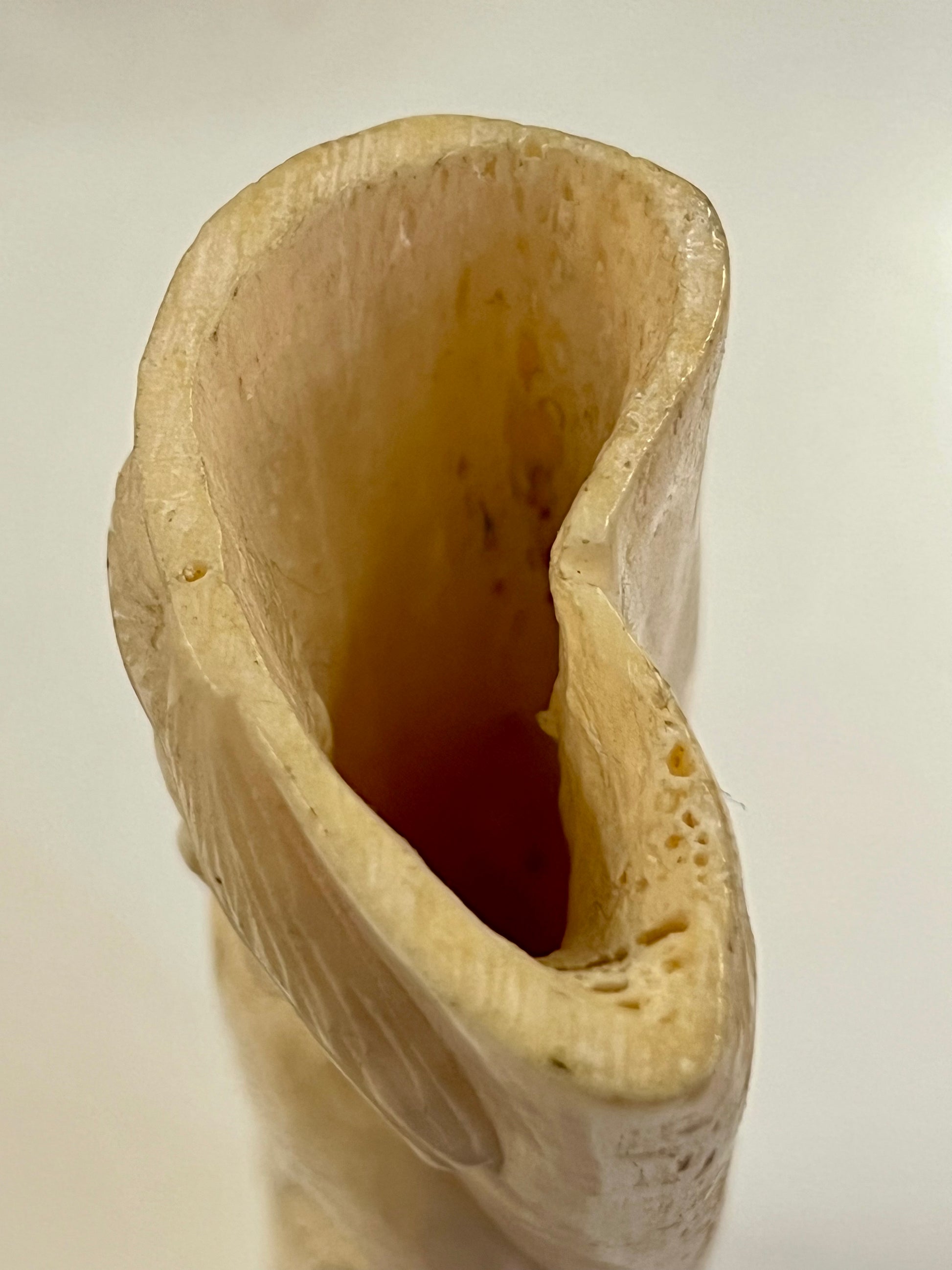 Asian Bone Carving Art